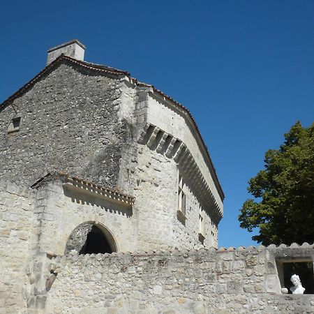 Chateau De Pleneselve Bon-Encontre Kültér fotó