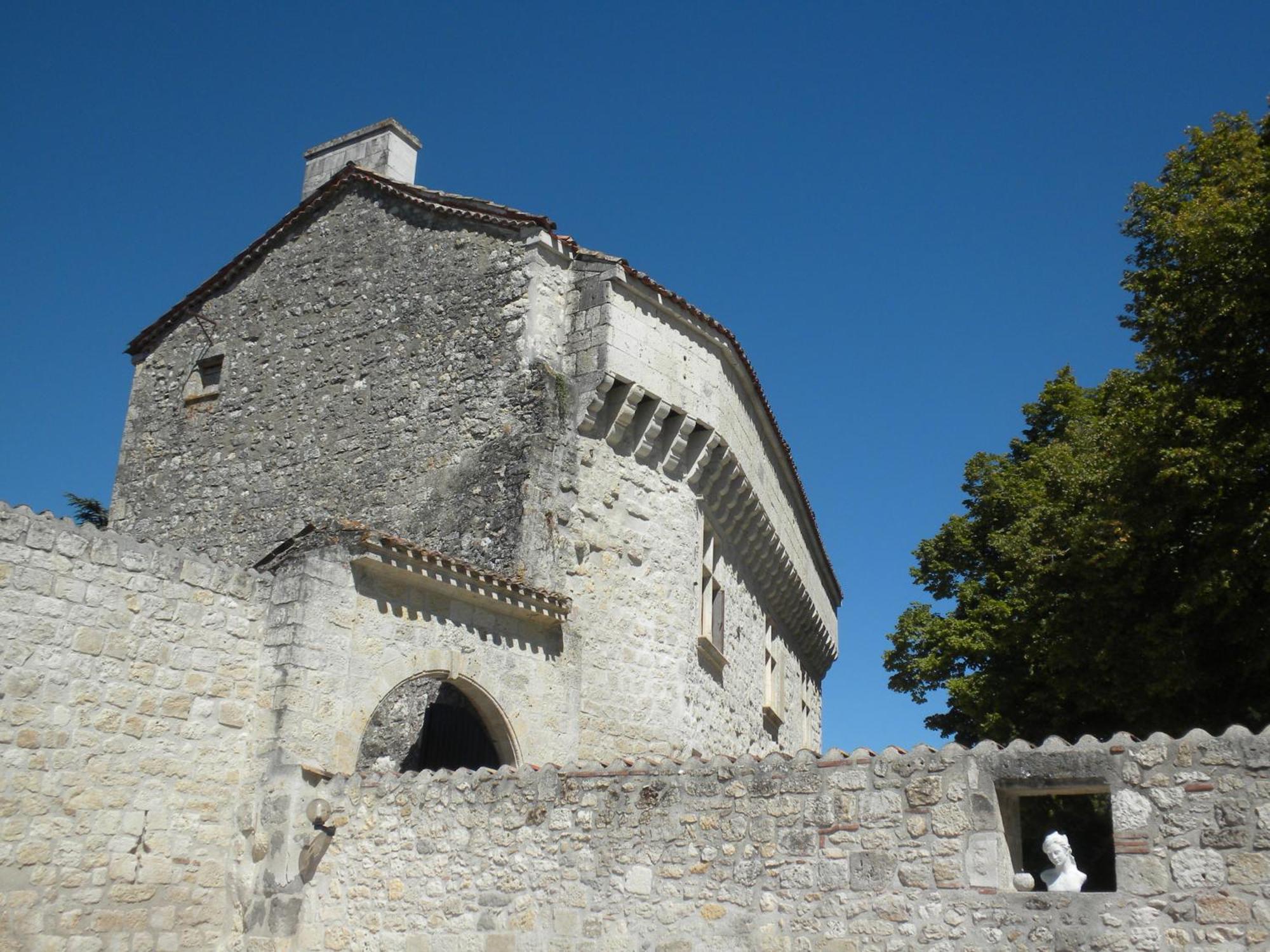 Chateau De Pleneselve Bon-Encontre Kültér fotó