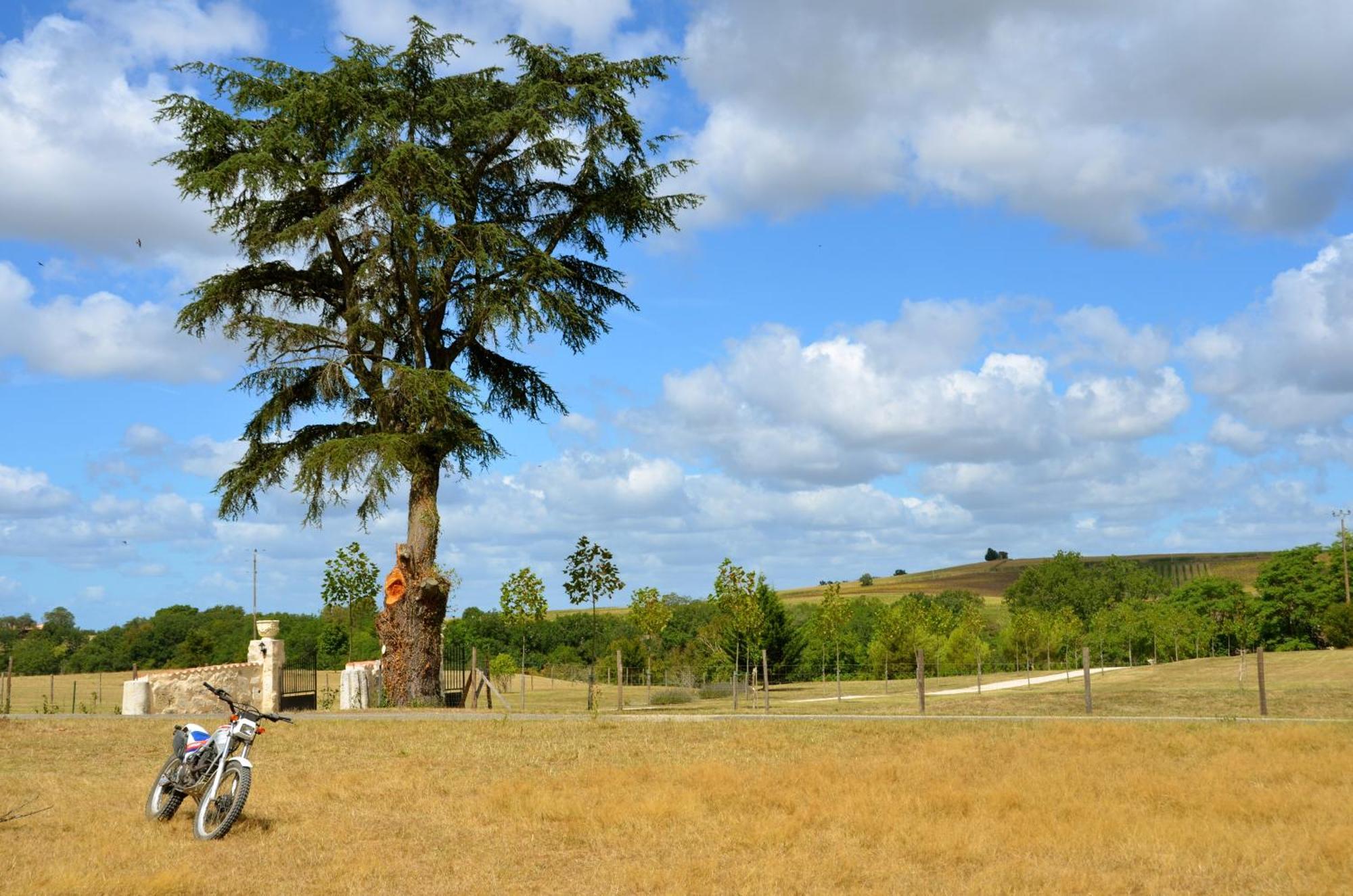 Chateau De Pleneselve Bon-Encontre Kültér fotó