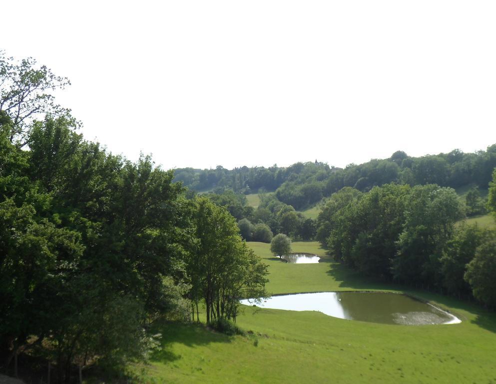 Chateau De Pleneselve Bon-Encontre Szoba fotó